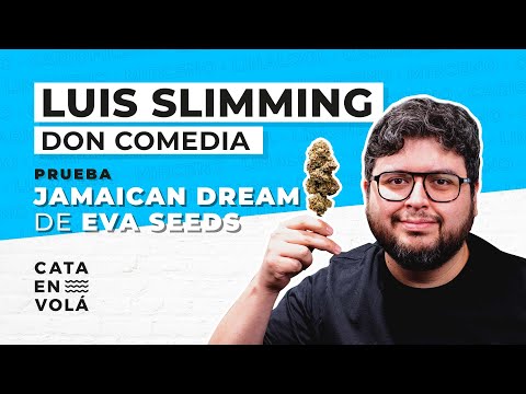 LUIS SLIMMING EN CATA EN VOLÁ 🤩 PARA REÍR Y TOSER