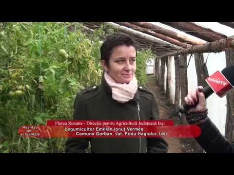 Legumicultor Emilian Ionuț Vermes