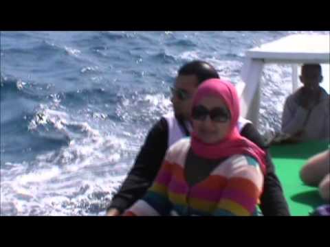 ОТЛИЧНЫЙ ОТДЫХ В АЛ НАБИЛЕ! )))