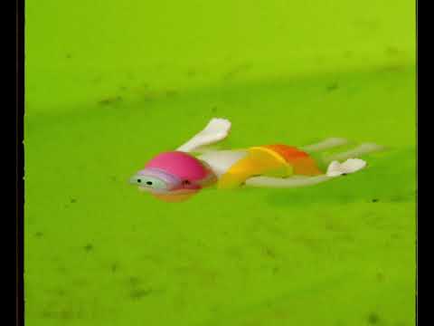 Flughand ft. Steichi - haltra (official video)