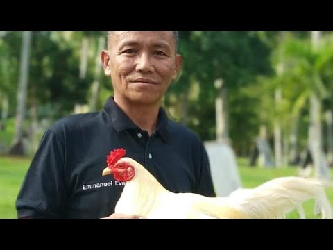 Farm visit at TIME TRIAL GAMEFARM BY MR. EMMANUEL EVA IN DAVAO CITY