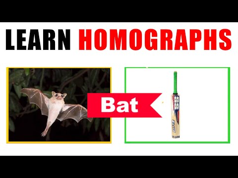 Learn Homographs | General Knowledge (GK) Video | Basic Educational video