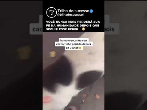 "Man Finds Lost Dog and Saves Her from the Streets"