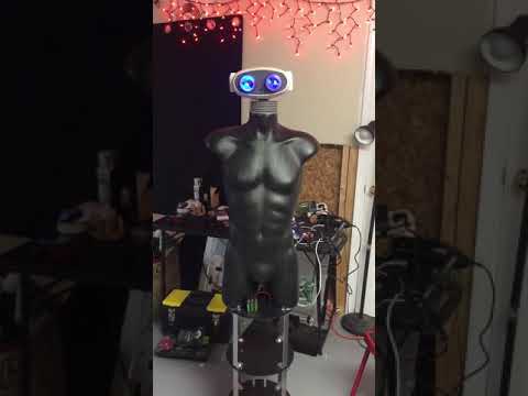 Kullthulu's Artemis - The Household Service Bot