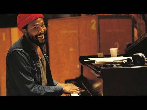 Divided Soul - The Life of Marvin Gaye
