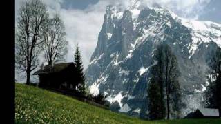 Water's Edge - Tim Janis