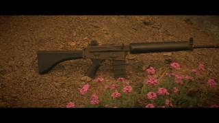 AR-180 Rifle - GUN PORN!!!