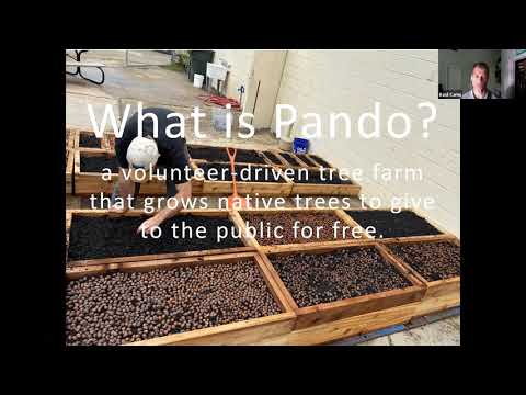Project Pando in 8 Minutes - A Plan to Help Heal the Planet - TLC Wild Ideas