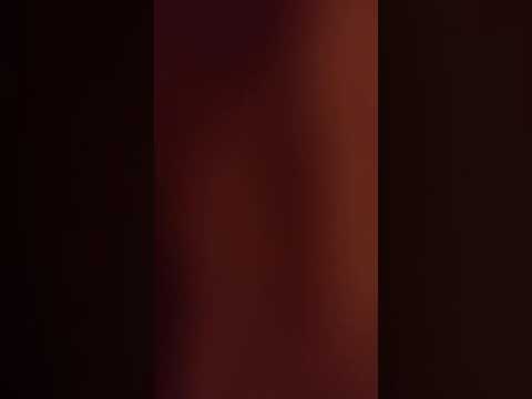 Lettura di "Il coraggio di Freddy"