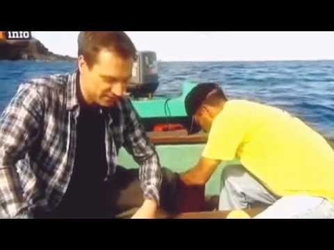 Paradies in Gefahr - Die Osterinsel - Doku/Dokumentation