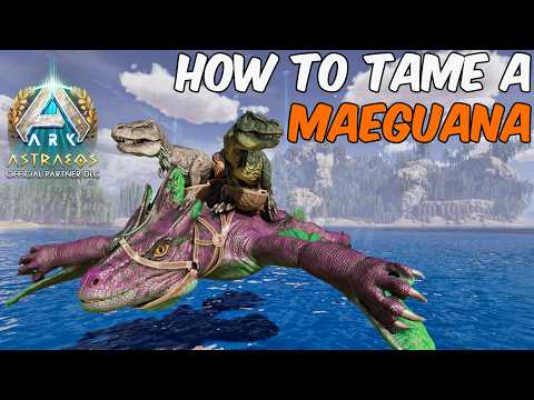 How To Tame a Maeguana in ARK Survival Ascended Astraeos + Full Ability Guide