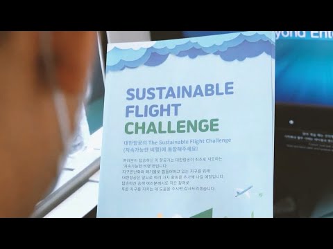 SkyTeam's Aviation Challenge: Reshaping The Future Of Air Travel
