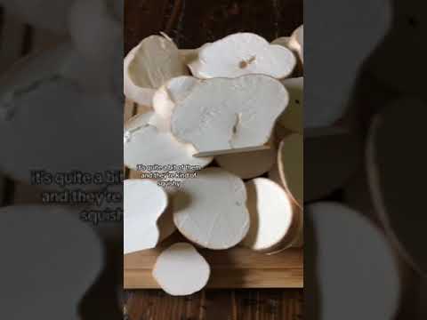 Preserving Giant Puffball mushrooms 😊  #foraging #mushroom#puffball #harvest #foodpreserving #