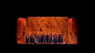 La República Gaditana – Final – COAC 2007