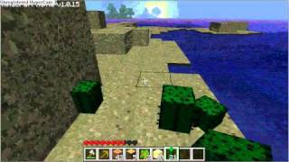 preview picture of video 'Minecraft erste schritte by Riddick'