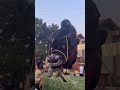 Carnival 2024 Shorts Carnival Goa