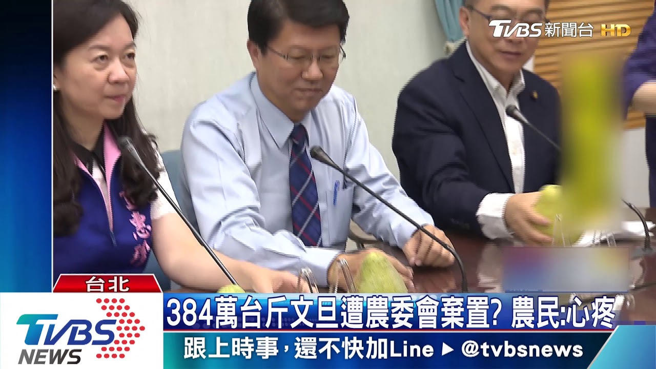 384萬台斤文旦遭農委會棄置? 農民:心疼