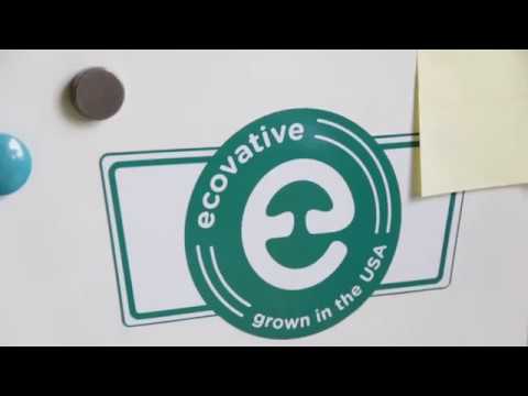 Meet The Ecovators: Maria Osuna Garcia - YouTube