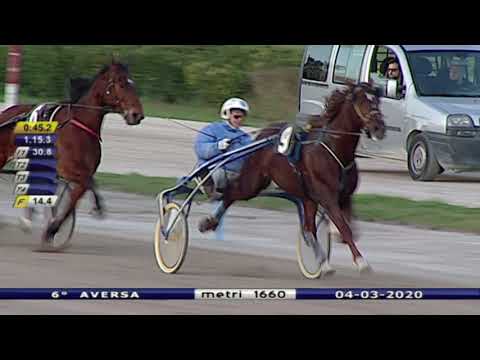 Aversa trotto 4 Marzo 2020 - 6° Corsa