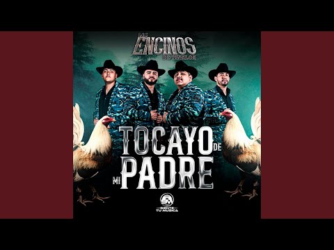 No Porque Me Miren Cholo