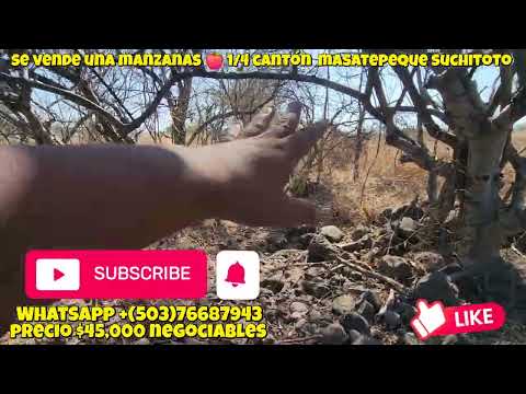 Se vende manzanas 🍎  1/4 cantón  masatepeque distrito de suchitoto departamento de cuscatlan 