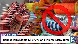 Banned Kite Manja Kills One and Injures Many Birds