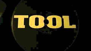 Tool - Swamp Song (live Barrie 93) - HQ audio