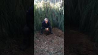 Healing the soil, we know our starting point