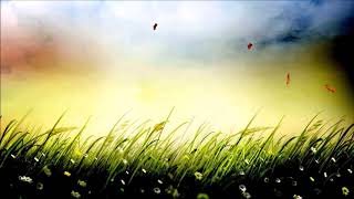 Amir Haddad - Les rues de ma peine (Lyrics &amp; English Subtitle)