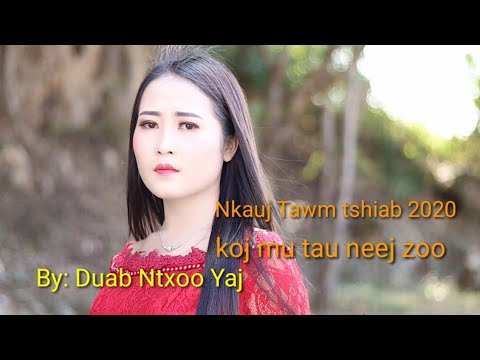 Nkauj Tawm Tshiab 2020 -  Koj Lub Neej Zoo Lawm - Duab Ntxoo Yaj