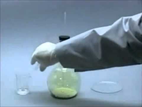 Comparing Halogen Reactions