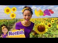 NEW Southern Hill Farms Educational Videos For Kids Blippi And Meekah Kids TV