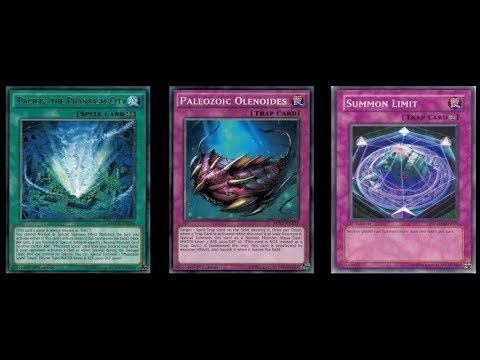 YUGIOH World: Pacifis Paleozoic Stun Deck List 2018 by Kung Fu