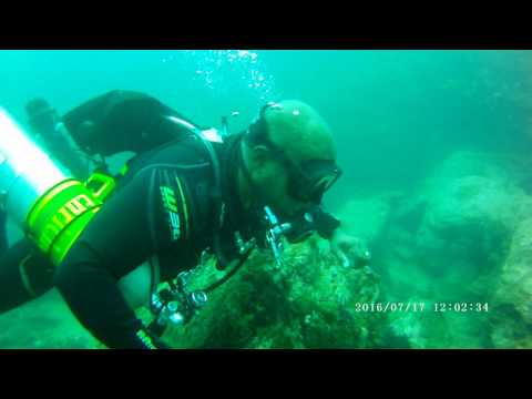 Diving Sidemount at Taprobane Divers, Trincomalee, Sri Lanka - and lots of fish!