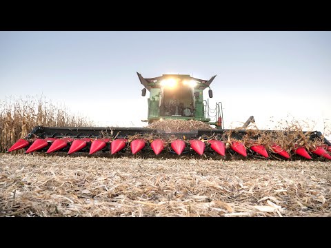 XXL CAPELLO CORN HEAD in FRANCE | 145ha Circular Field | 2020 Harvest