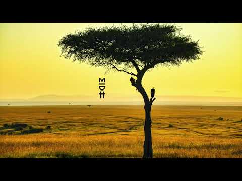 Native P. feat. Nuzu Deep - In Another Life (Original Mix)
