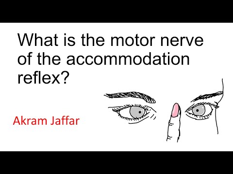 What is the Motor Nerve of the Accommodation Reflex?