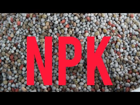 adubação de produção do maracuja 🍈🌱😃👍