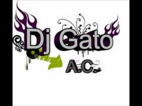 Cumbia mix (remix) Dj Gato.wmv