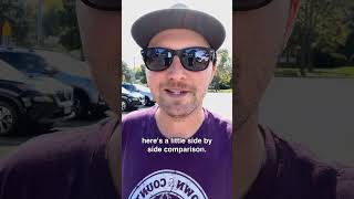 Download lagu Mistaken Identity 🥸 | Bed Bugs or Carpet Beetle Larva? mp3