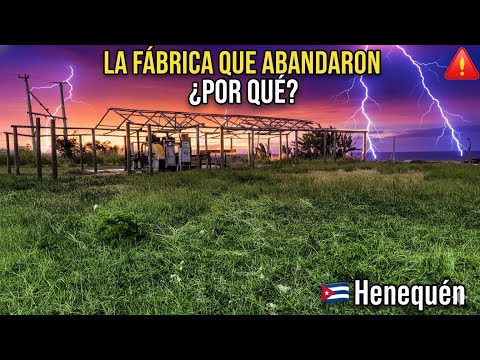 El Henequén — Testimonios que duelen | Un pueblo prácticamente entero enfermos con CHIKUNGUNYA.