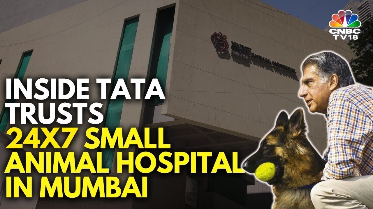 Ratan Tata's Dream Project Comes To Life With India's First Advanced 24x7 Animal Hospital | N18V