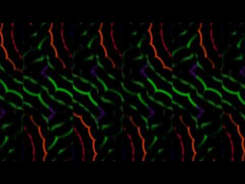 Club Visuals 729 - Animated motion background loop