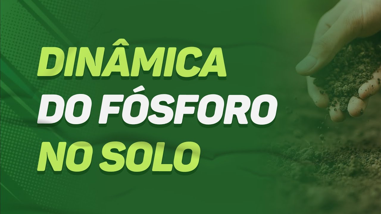 DINÂMICA do FÓSFORO no SOLO