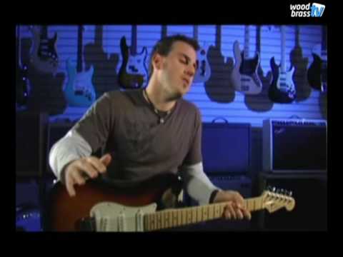 Fender Stratocaster Woodbrass