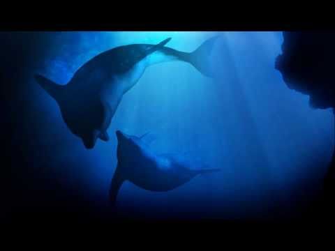 Echoes In The Deep - Ambient Ocean Music (Relaxation Track)