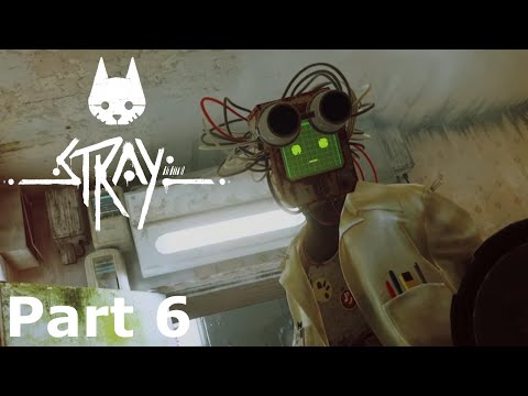 Stray PS5 Walkthrough Gameplay   Part 6   GREAT SCOTT