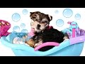 Bathtime Puppy Starring Zumi Baby Doll Bubble Bathtub