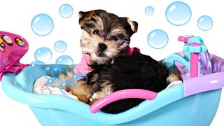 Bathtime Puppy Starring Zumi - Baby Doll Bubble Bathtub