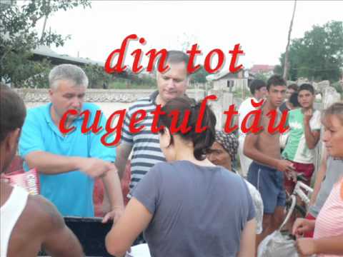 Dragostea nu cade niciodata